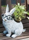 Roman Rabbit with Glasses Planter-10091