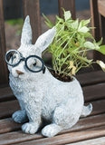 Roman Rabbit with Glasses Planter-10091