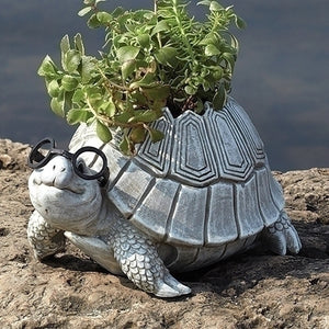 Roman - Turtle With Glasses Planter – Garden – 10094