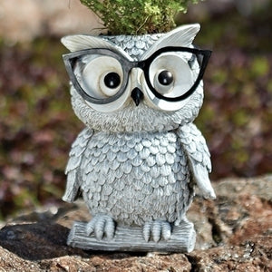 Roman - Owl With Glasses Planter – Garden – 10095
